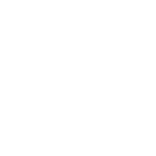 Write SEO